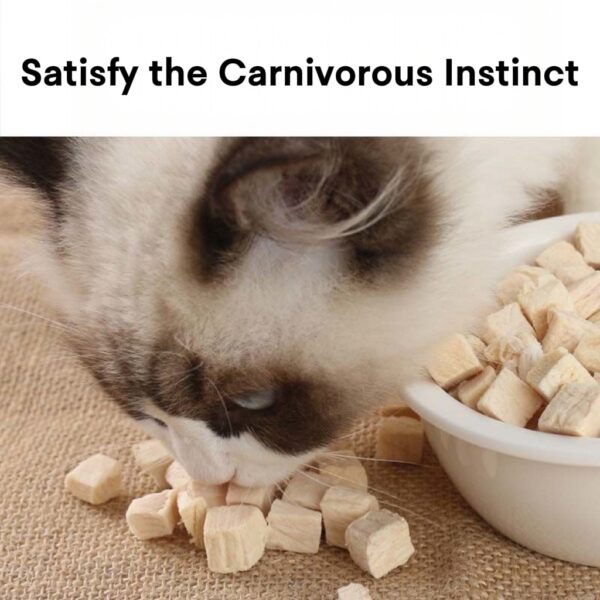 Freeze-Dried Pet Snacks: Chicken Cubes, Chicken Breast & Quail Mix Family Bucket, Nutritious & Weight-Gaining for Dogs & Cats