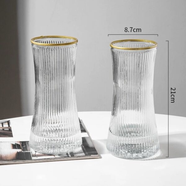 Ins & Nordic Style Large Transparent Glass Vase - For Lucky Bamboo, Dried/Fresh Flowers | Living Room Decor